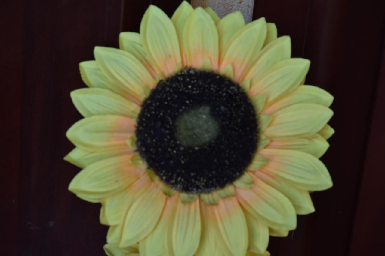 B&B Il Girasole Assemini Esterno foto